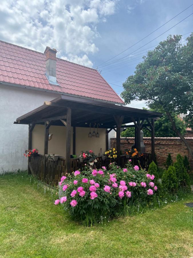 Silver House Rasnov Экстерьер фото